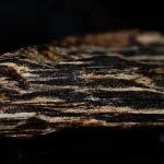 Why Is Agarwood So Valuable?…