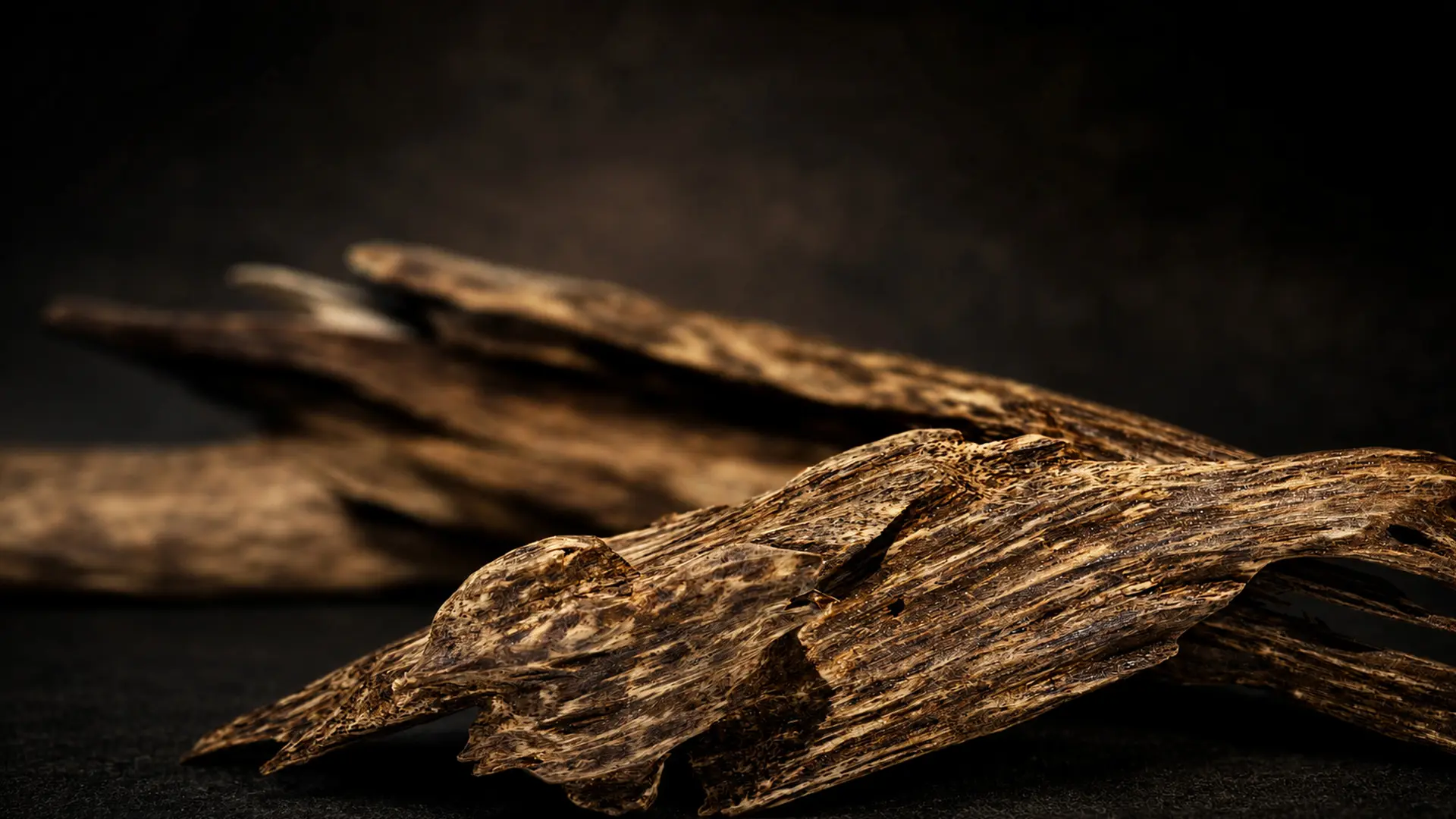 agarwood chips malaysia