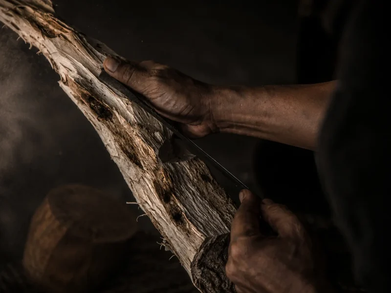 world famous agarwood is malaysia agarwood.